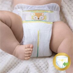 Prima Premium Care Eko Paket 5 Beden 42 Adet