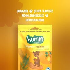 Humm Organik Ballı ve Kinoalı Kurabiye 55 Gr