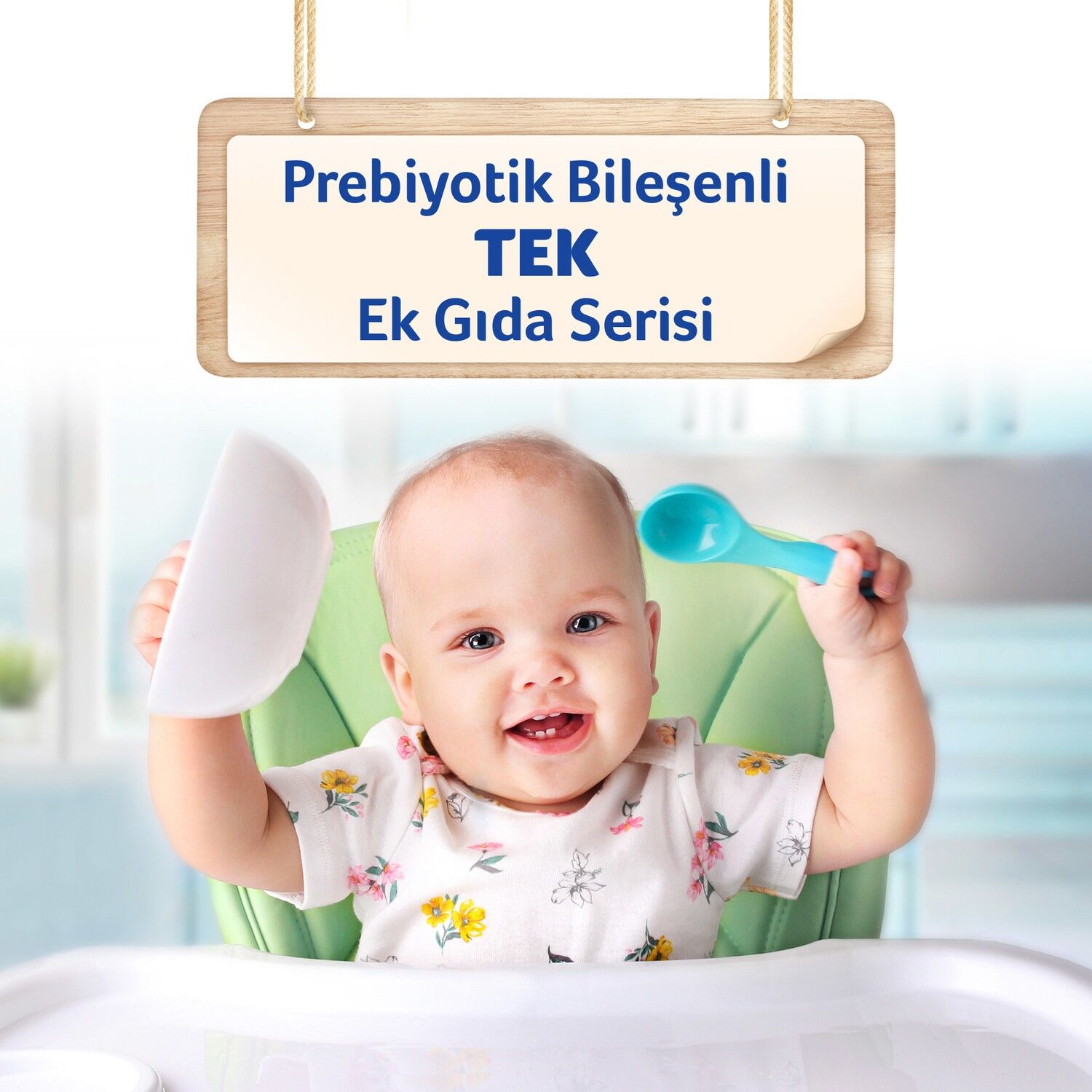 Aptamil Sütlü Bisküvili Kaşık Maması 250 Gr