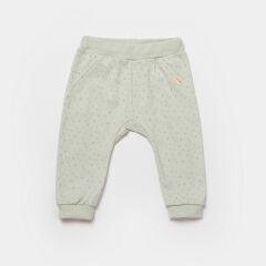 Bibaby Biorganic Koala Jungle 2'Li Bebek Takım 59776 Mint