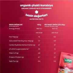 Humm Organik Vegan Çilekli Kurabiye 55 Gr