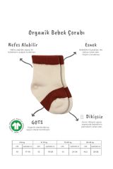 Bistyle 3'Lü Penye Rainbow Soket Çorap BS10113 Kiremit