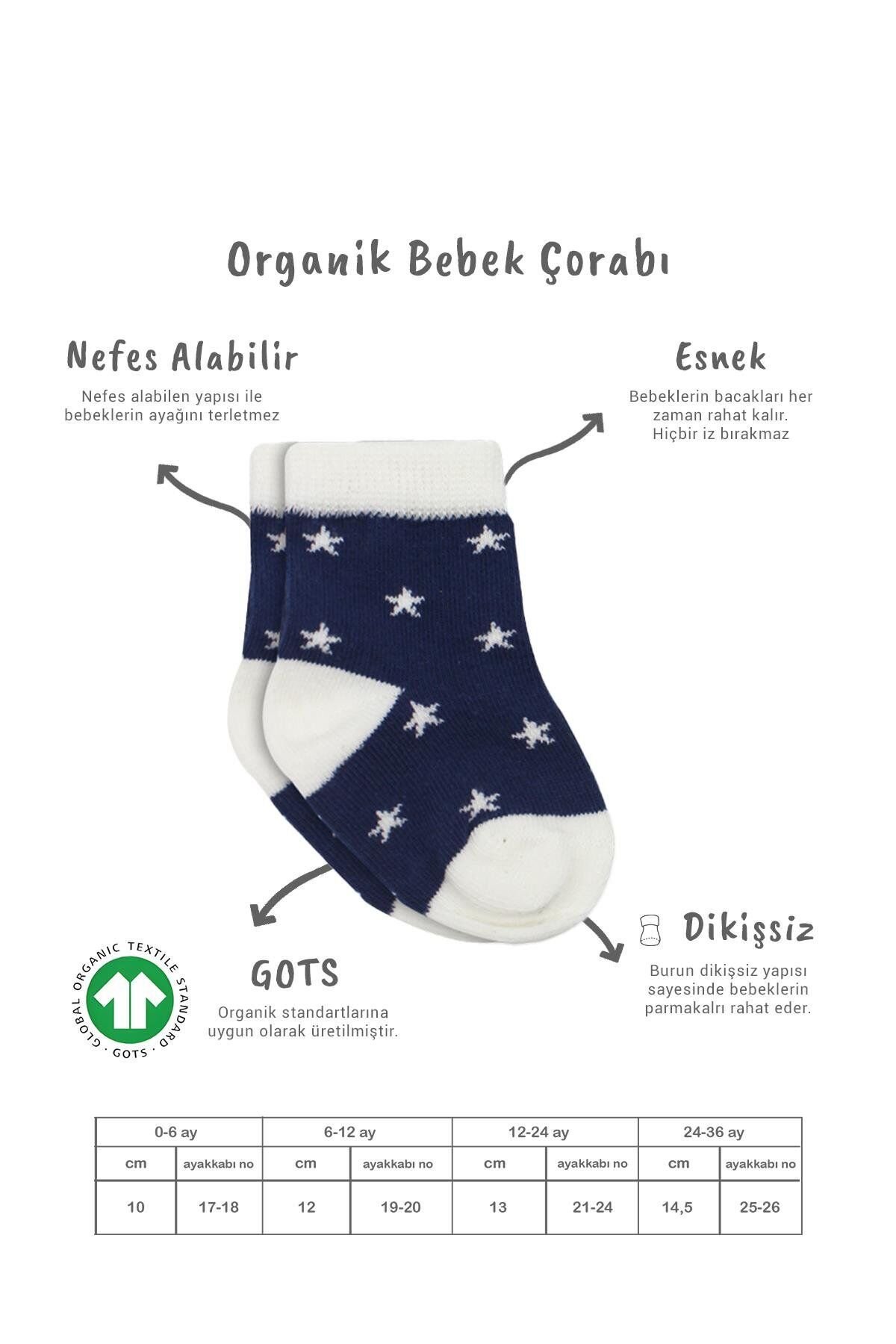 Bistyle 3'Lü Penye Cute Stars Soket Çorap BS10115 Lacivert