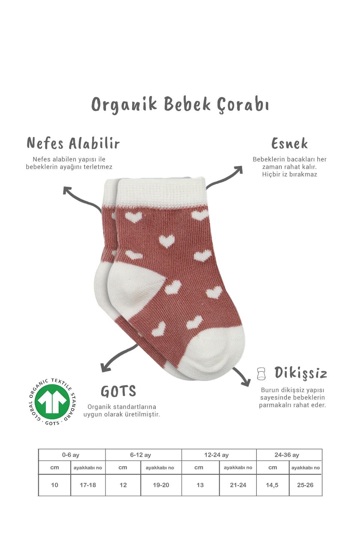 Bistyle 3'Lü Penye Cute Stars Soket Çorap BS10115 Pudra