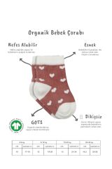 Bistyle 3'Lü Penye Cute Stars Soket Çorap 10115 Pudra