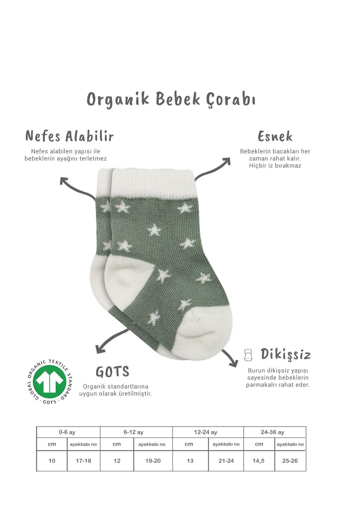 Bistyle 3'Lü Penye Cute Stars Soket Çorap BS10115 Nil